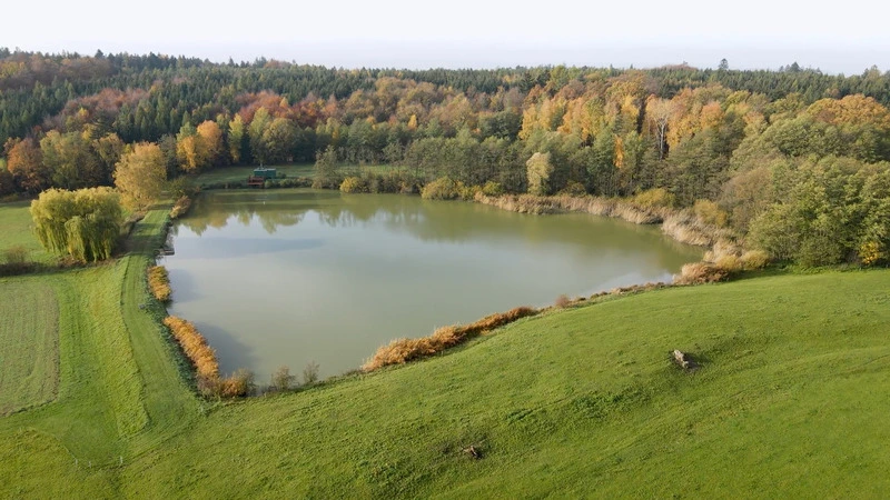 pohled na rybník